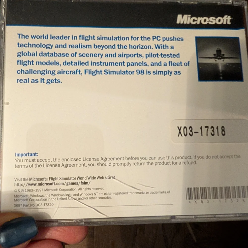 Microsoft flight simulator